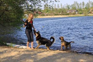 Badestelle für Hunde